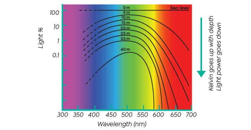 Sea level Kelvin